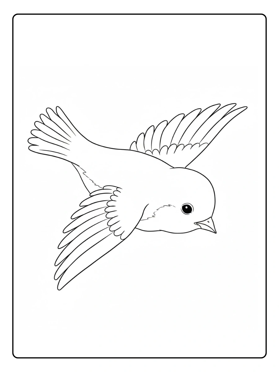 Lovebird Coloring Pages (1)